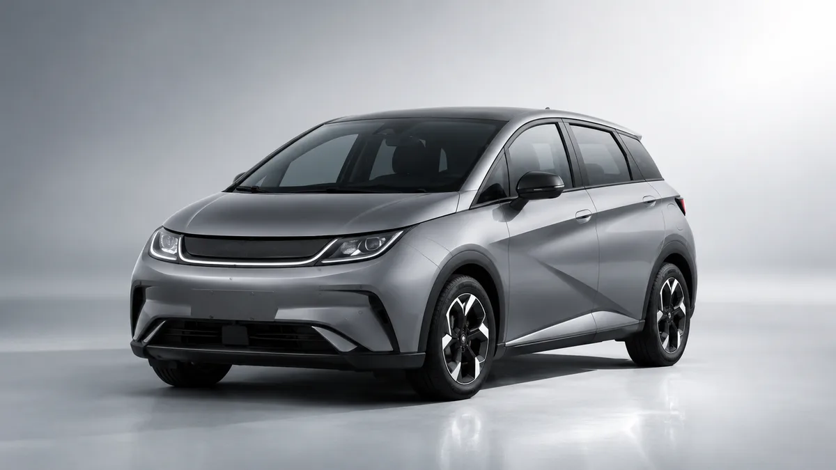 BYD Dolphin (Grey)